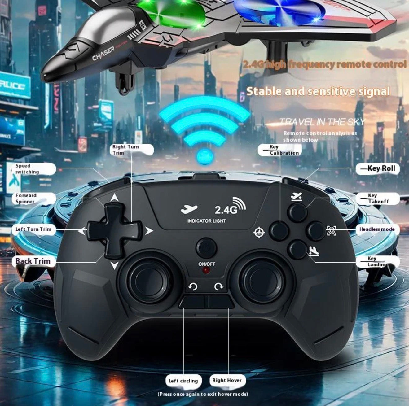 2.4GHz EVA RC Fighter Jet Plane